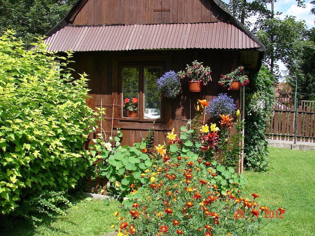 Modrzew Apartment Zakopane Exterior photo